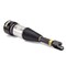 Arnott Air Suspension Strut, As-2890 AS-2890 - alternate 3